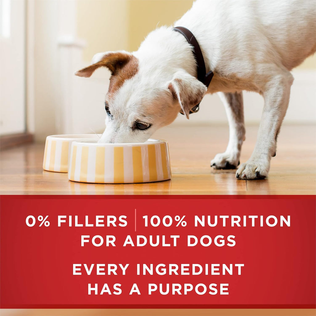 Purina ONE Classic Ground Chicken and Brown Rice Entree Adult Wet Dog Food - (Pack of 12) 13 oz. Cans